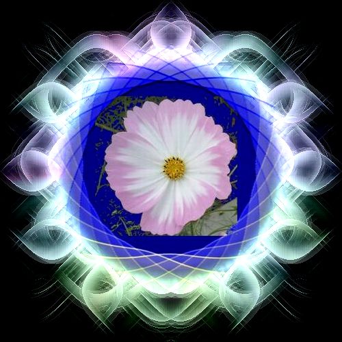 b0133752_15544930.png