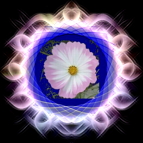 b0133752_155517100.png