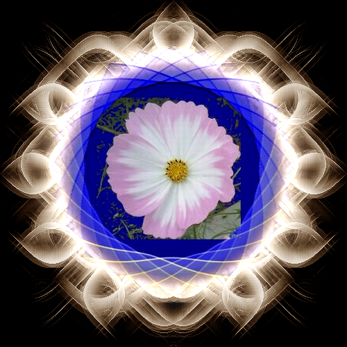 b0133752_15554977.png