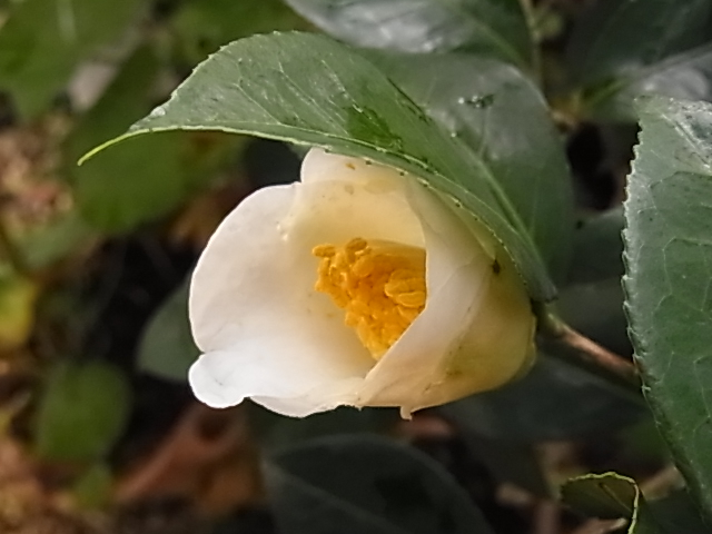 b0238760_16192361.jpg