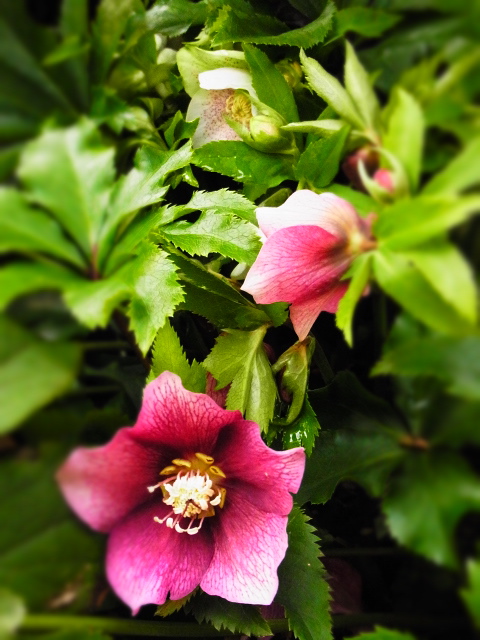 b0238760_16265871.jpg