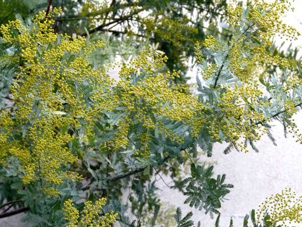 f0086169_2012352.jpg