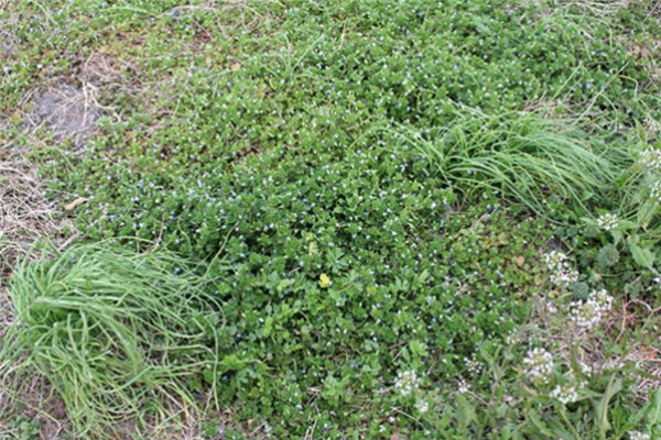 f0003174_15142486.jpg