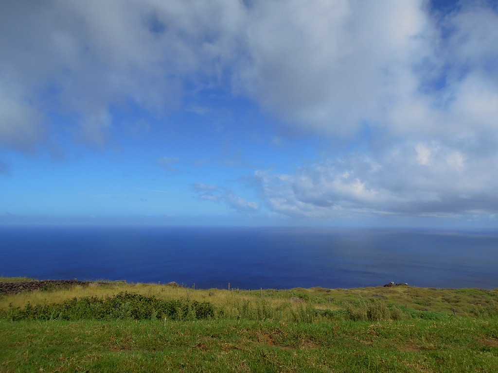 e0242479_446040.jpg