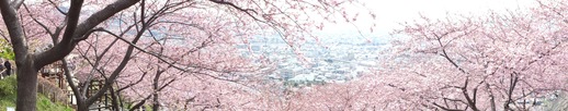 e0145782_2014358.jpg