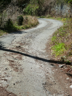 d0179983_20431749.jpg