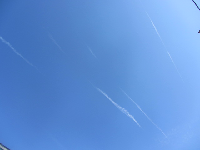 b0202185_15321715.jpg