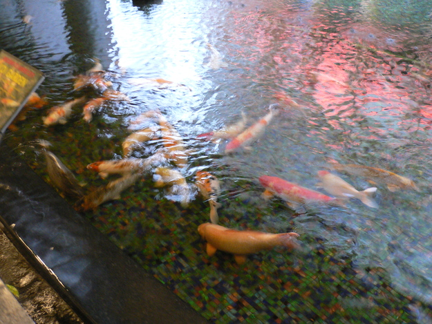 b0009106_16534323.jpg