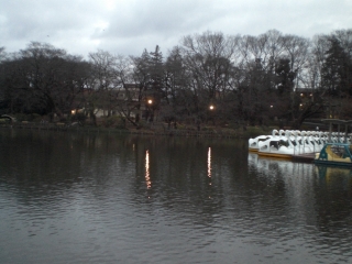 d0131207_0272251.jpg