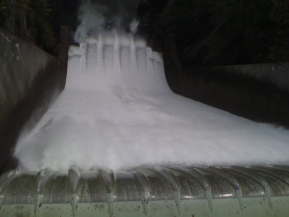e0247410_8285882.jpg