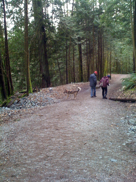 e0247410_8462245.jpg