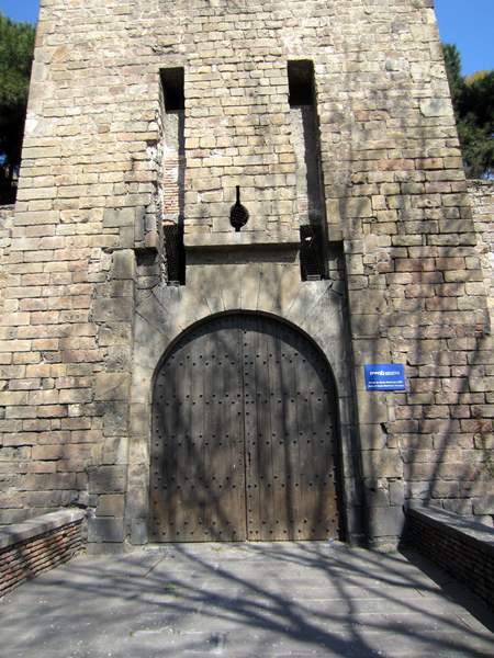 b0064411_853975.jpg
