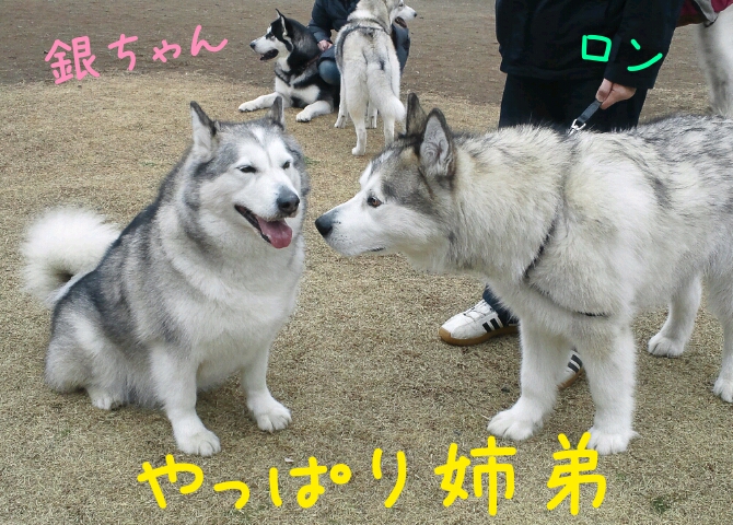 d0241911_19451681.jpg