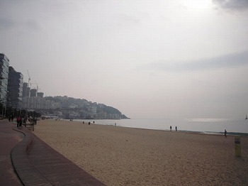 f0199511_1641454.jpg
