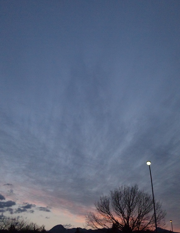 b0199924_20193990.jpg