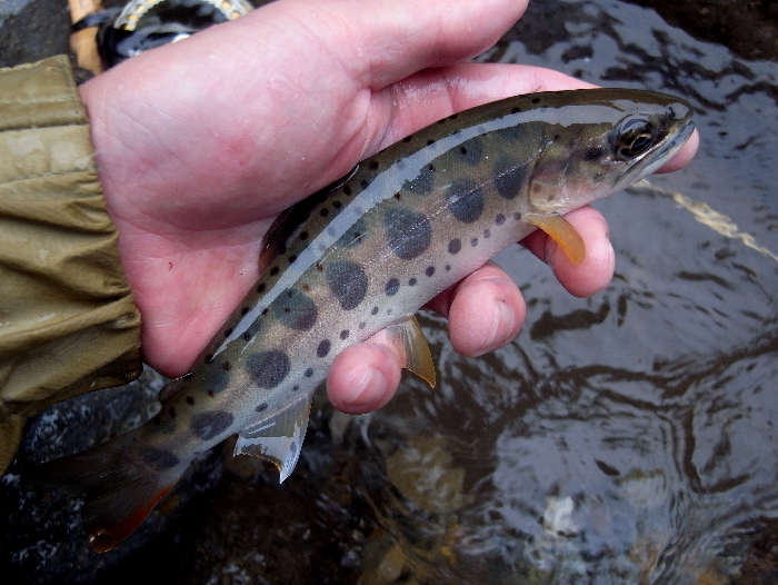 f0103126_2321371.jpg