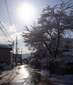 a0070831_12372319.jpg