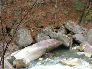 a0155838_11531247.jpg