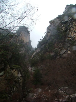 a0155838_11563611.jpg