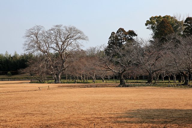 a0242438_1941424.jpg