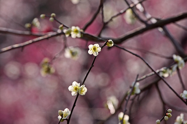 a0242438_1953528.jpg