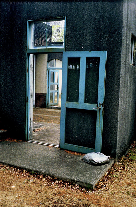 d0100156_210052.jpg