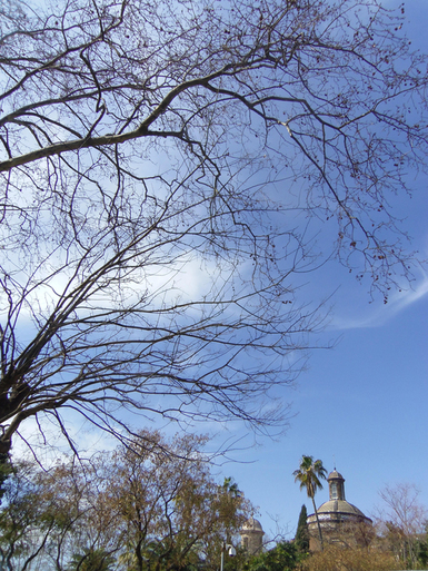 c0175975_22242158.jpg
