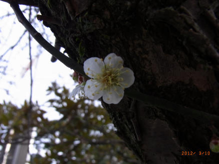 b0002879_1812581.jpg