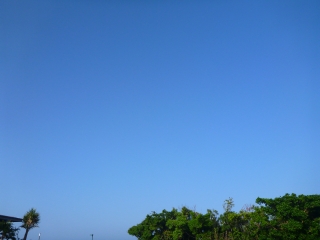 d0240983_20591124.jpg