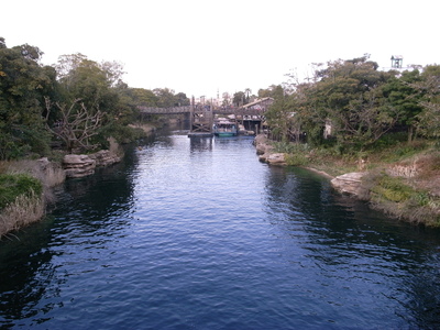 a0195486_21223029.jpg