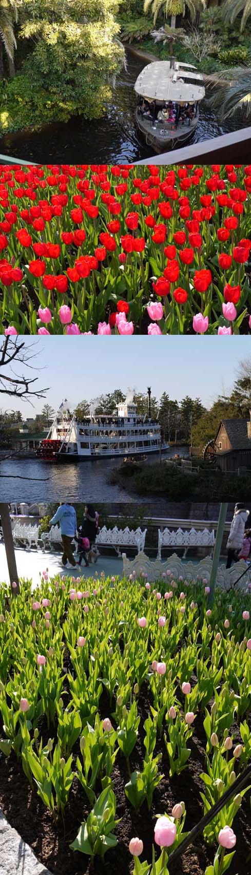 f0222692_21234729.jpg