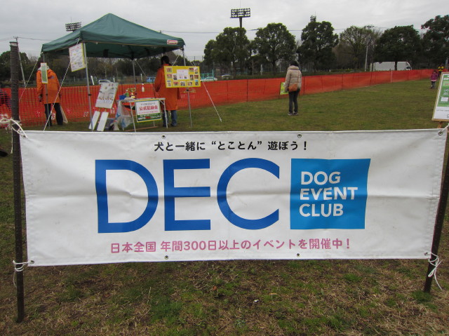 d0098295_21493527.jpg