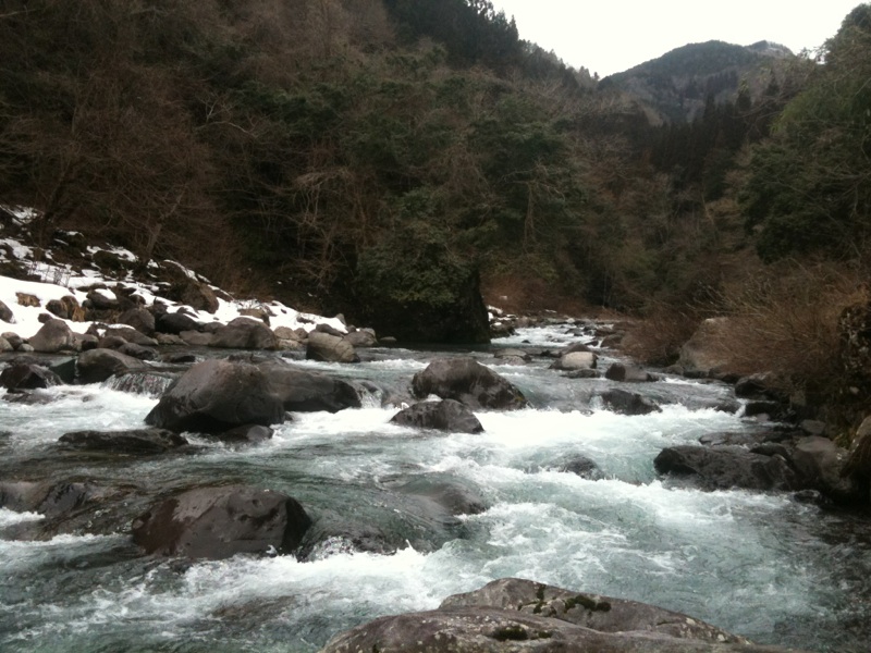 b0070396_1492390.jpg