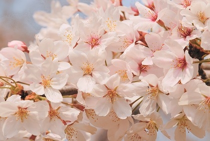 f0201297_05932100.jpg