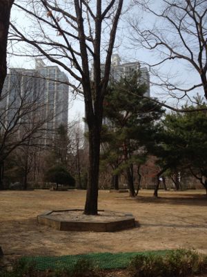 c0199098_1363333.jpg