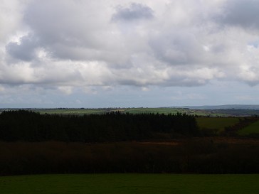 b0110999_465987.jpg