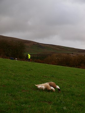 b0110999_47939.jpg