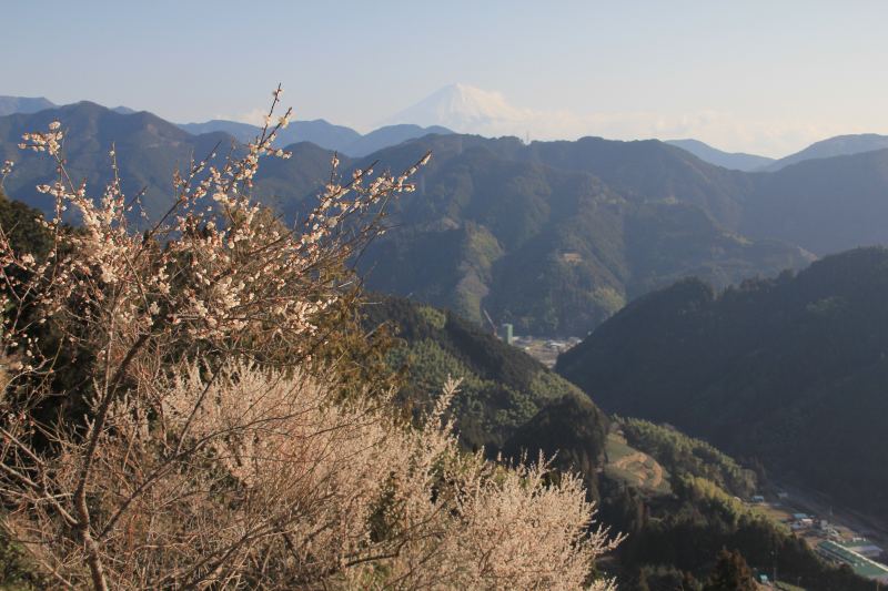 a0188405_12531066.jpg