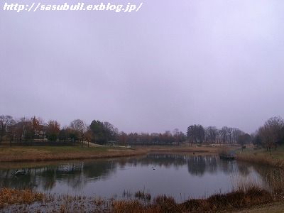 e0145805_18455630.jpg