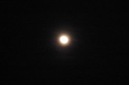 f0221708_14111731.jpg