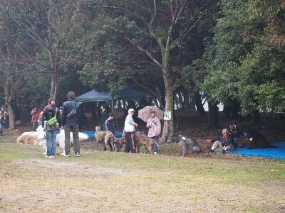c0181414_12551775.jpg