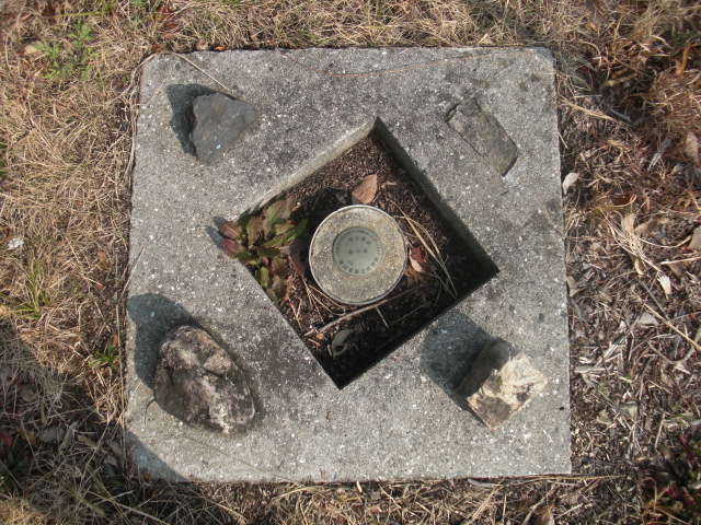 e0125014_10454237.jpg