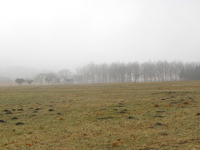 e0204314_7544161.jpg