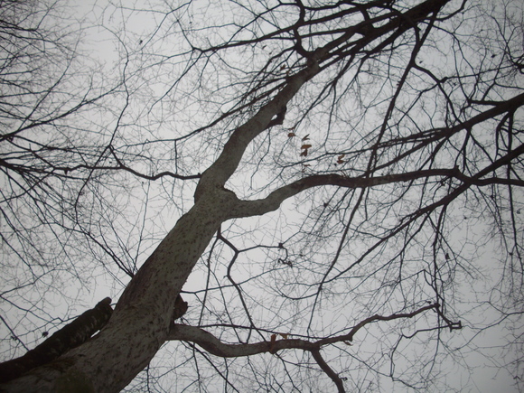 f0233815_42072.jpg