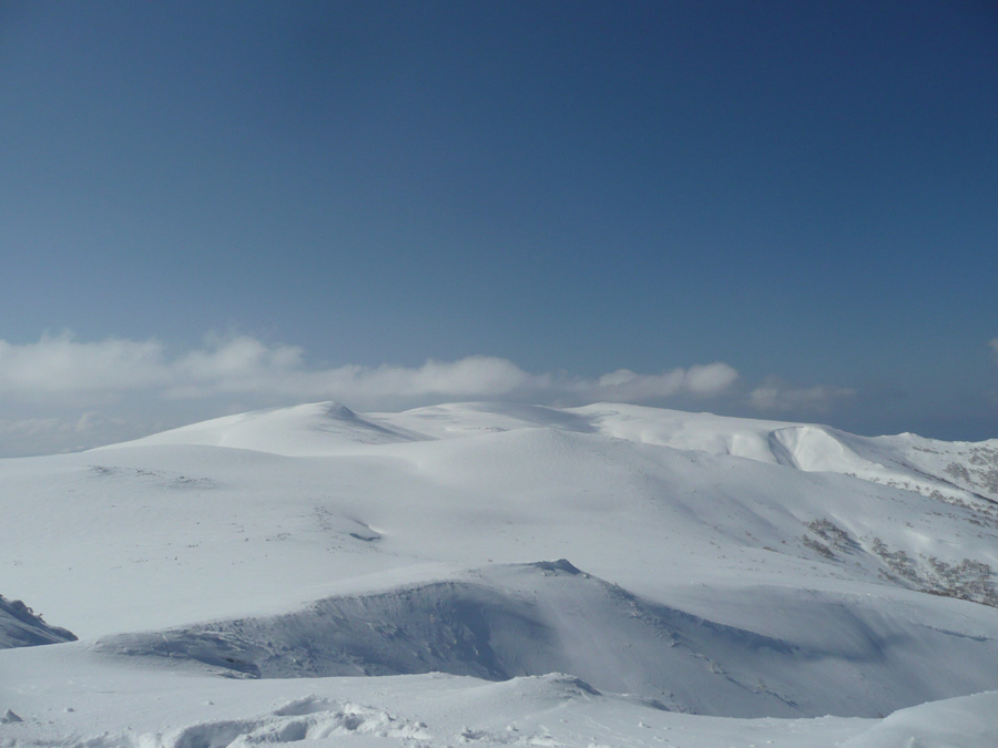 d0168417_21392458.jpg