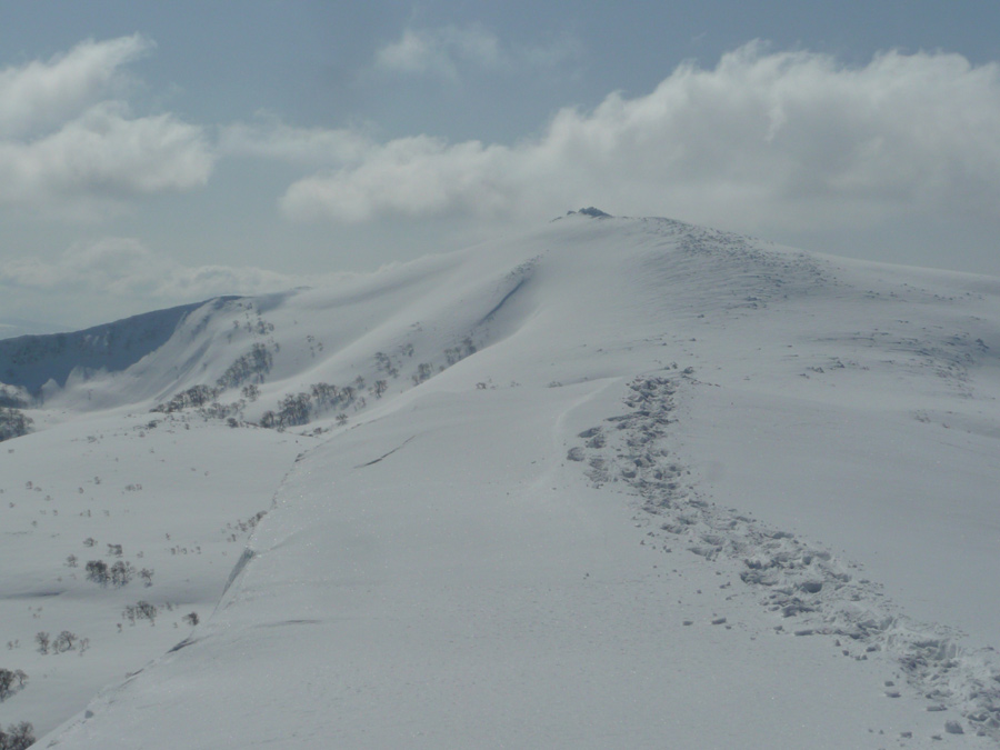 d0168417_2140013.jpg
