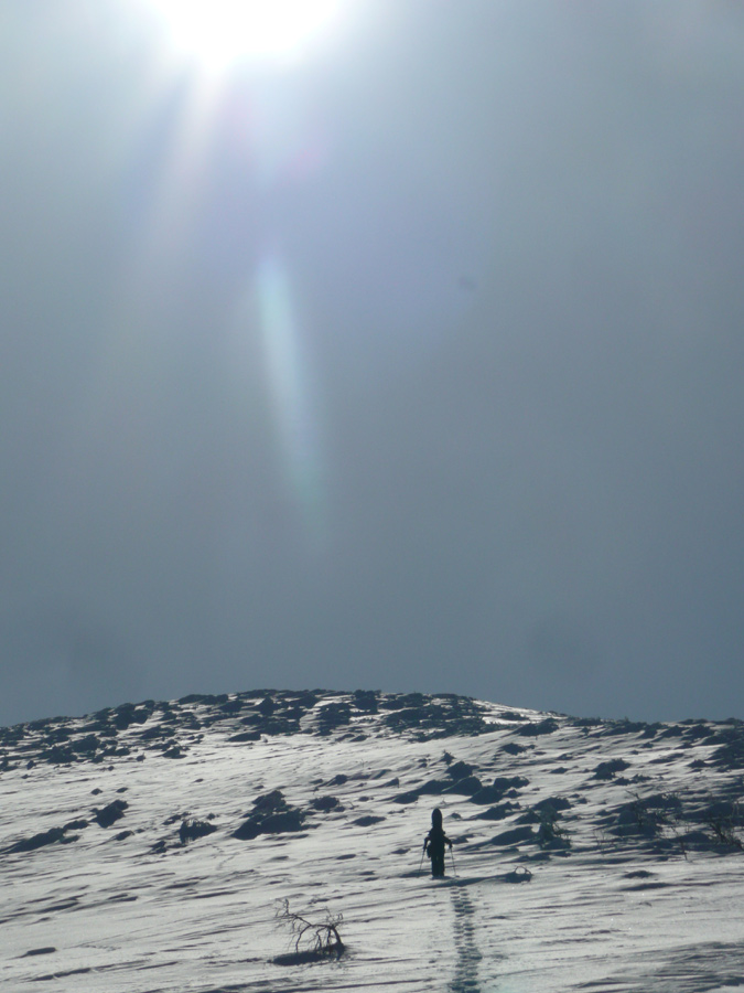 d0168417_21413921.jpg
