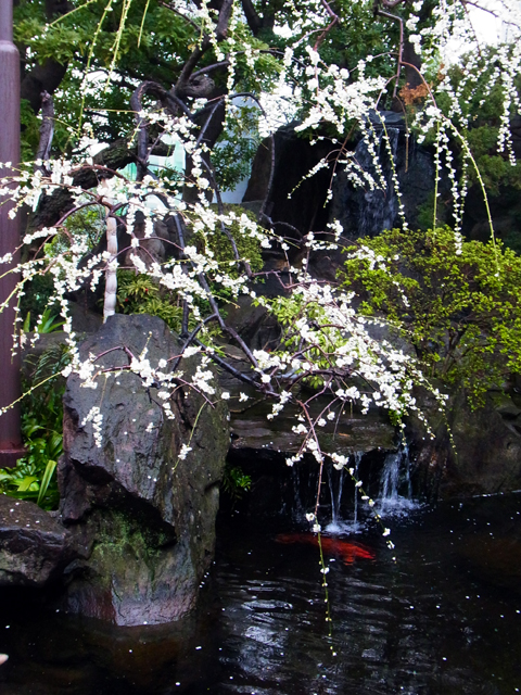 e0083517_0415419.jpg