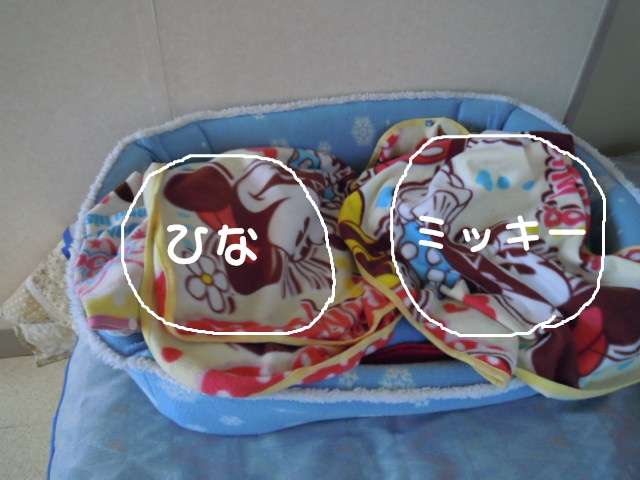 c0166622_1547303.jpg