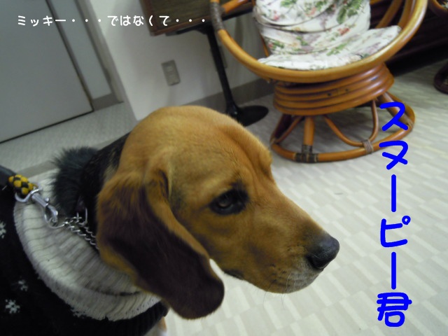 c0166622_1674976.jpg